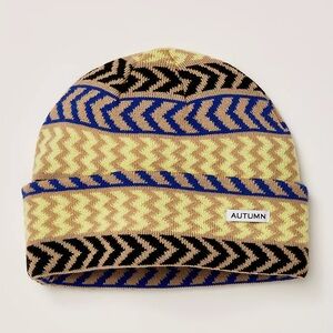 NWT Autumn Chevron Select Fit Beanie from Free People